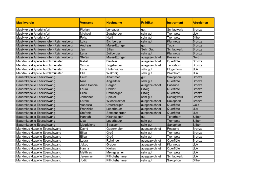 Musikverein Vorname Nachname Prädikat Instrument Abzeichen