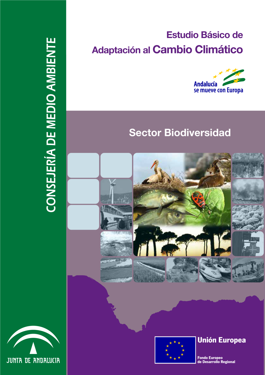 Estudio Básico De Adaptación Al Cambio Climático Sector Biodiversidad