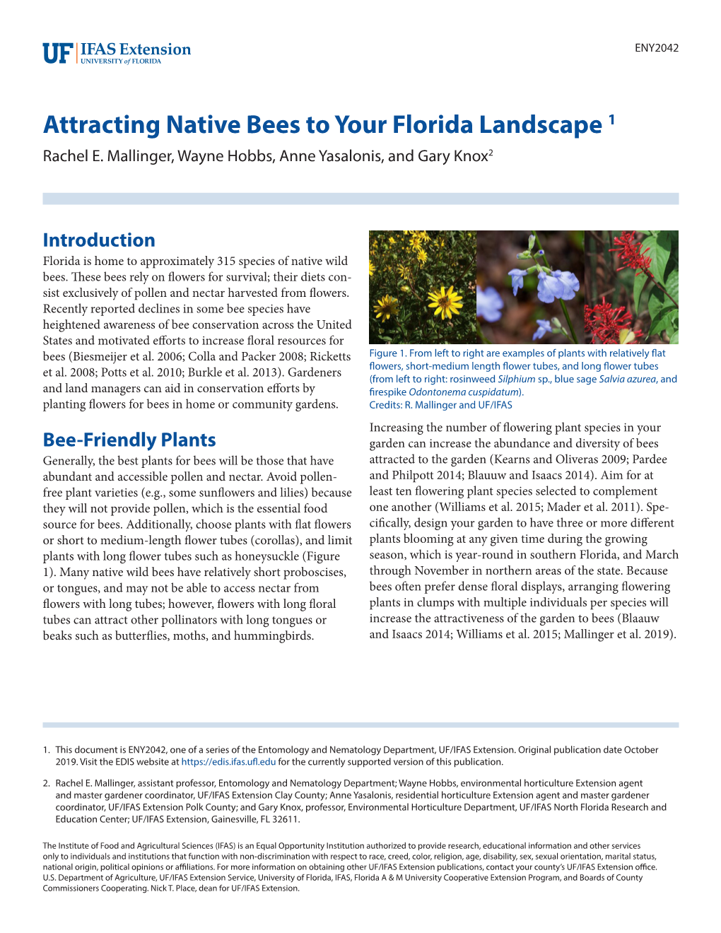 Attracting Native Bees to Your Florida Landscape 1 Rachel E