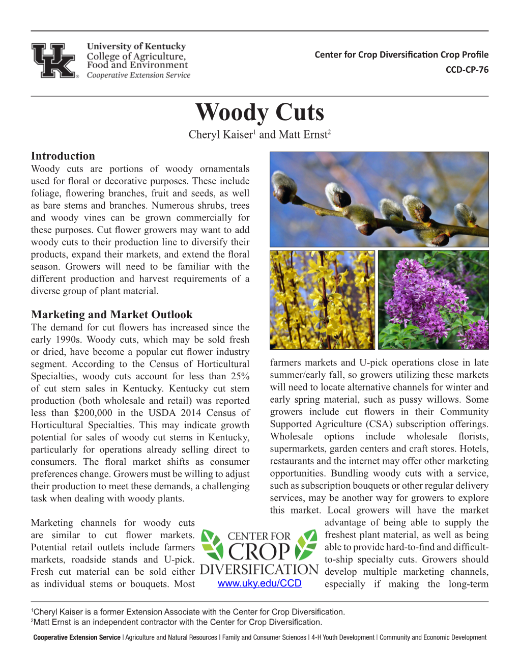 CCD Woody Cuts
