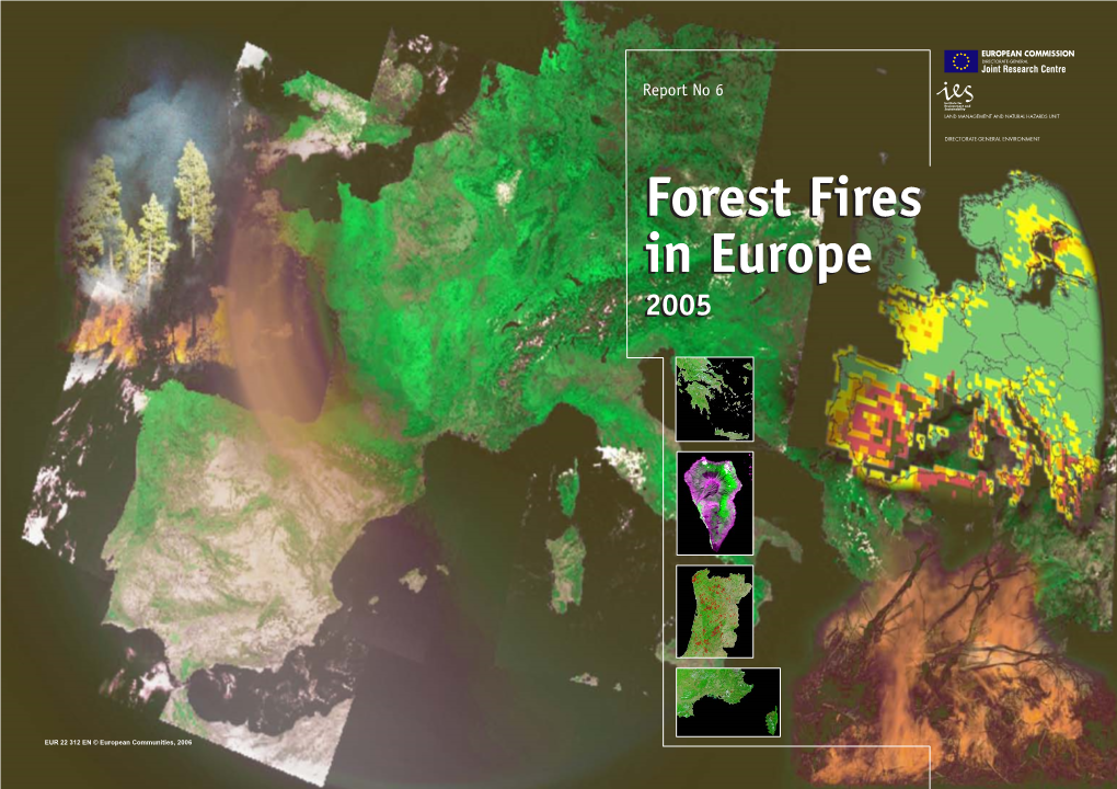 Forest Fires in Europe – 2005
