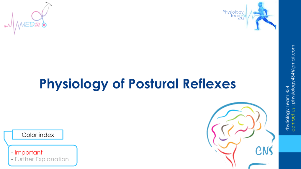 Physiology of Postural Reflexes Physiology434@Gmail.Com Physiology Team 434 Team Physiology Us: Contact Color Index