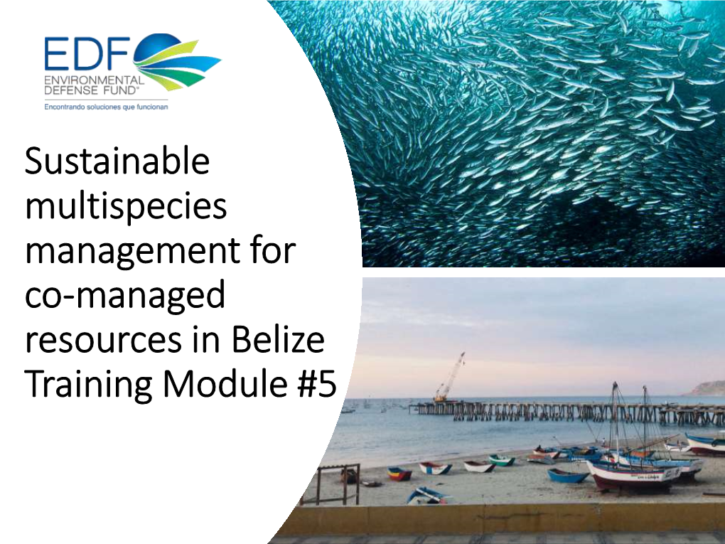 Creating Climate Resilient Fisheries in Japan