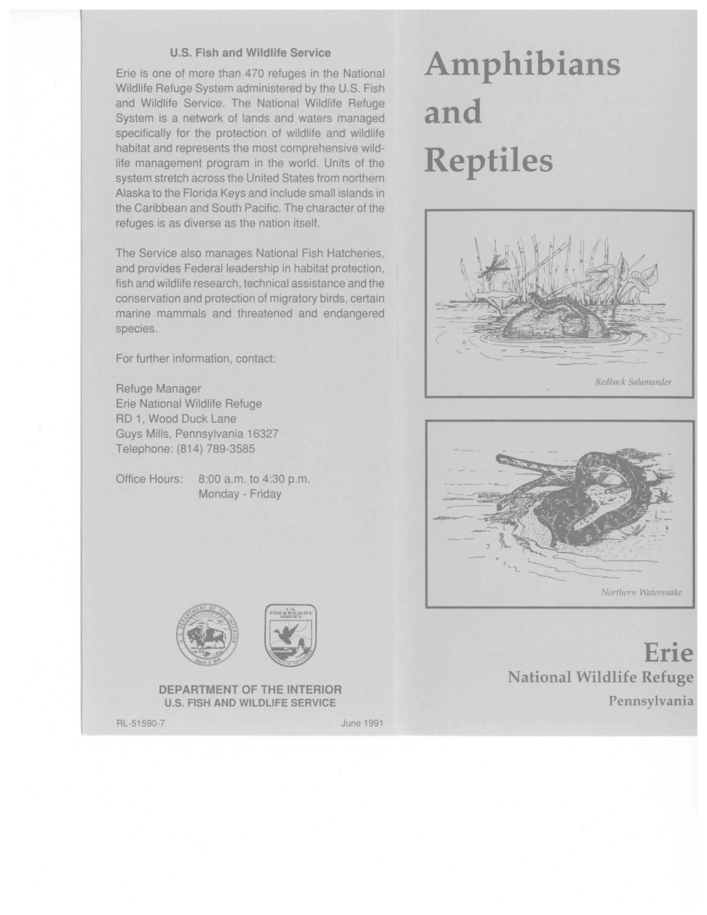 Antphibians and Reptiles