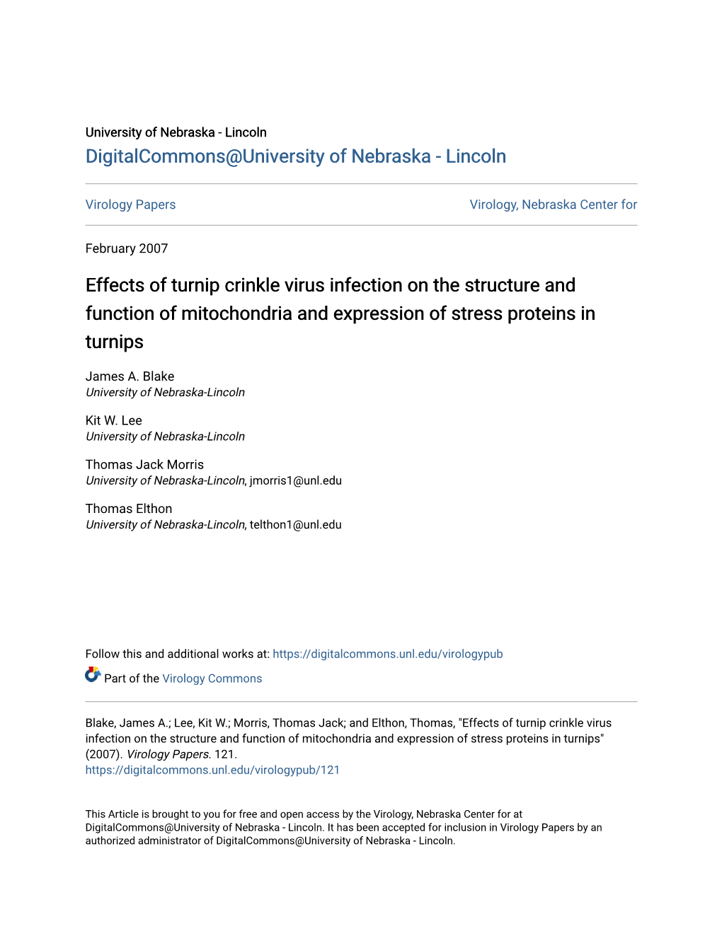 Effects of Turnip Crinkle Virus Infection on the Structure and Function of Mitochondria and Expression of Stress Proteins in Turnips