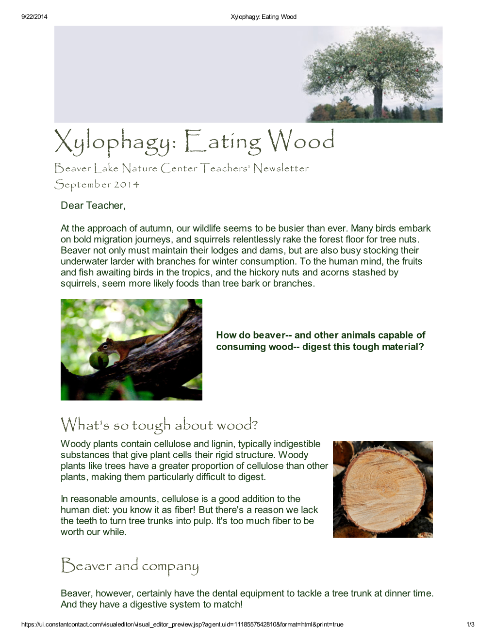 Xylophagy: Eating Wood