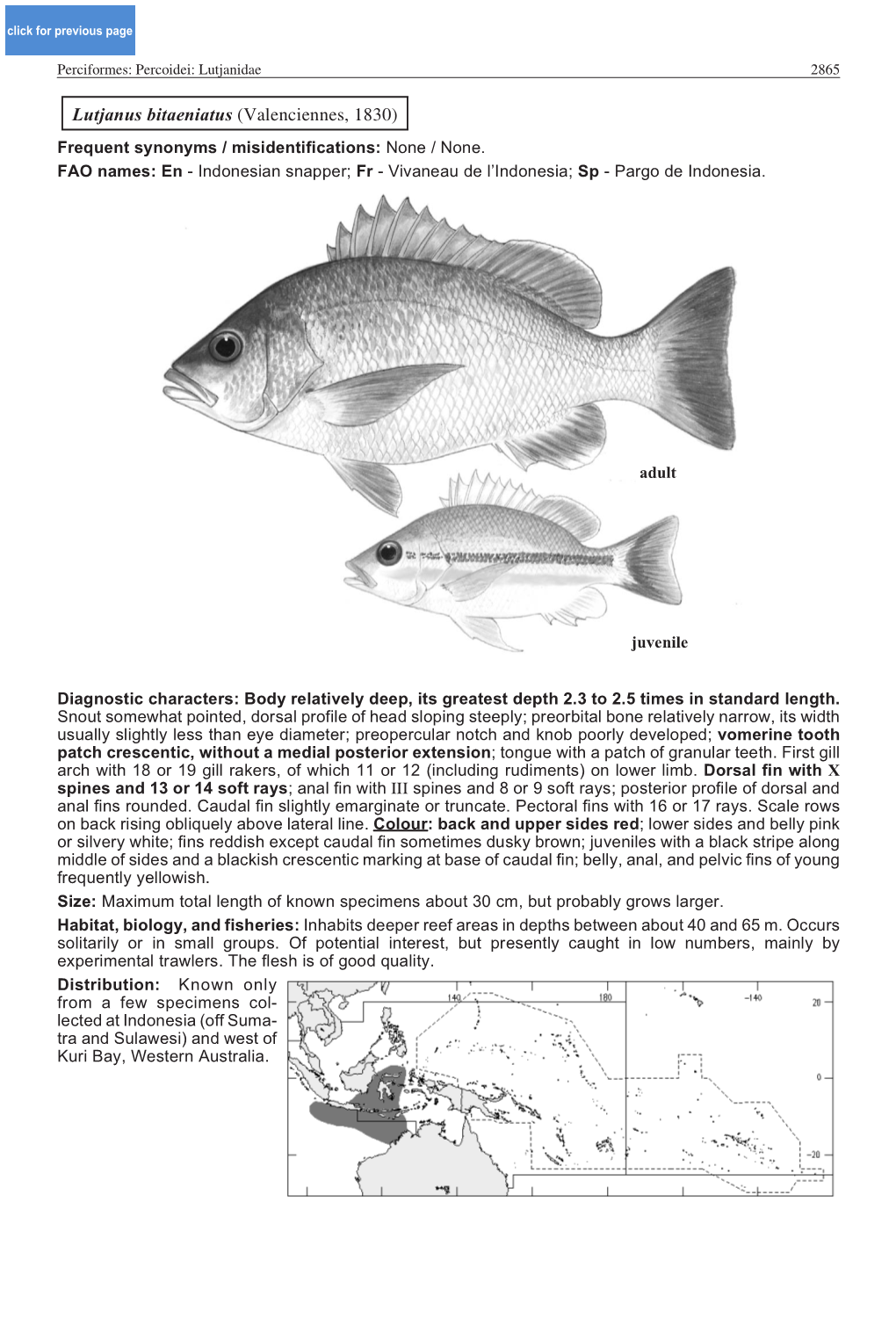 Lutjanus Bitaeniatus (Valenciennes, 1830) Frequent Synonyms / Misidentifications: None / None