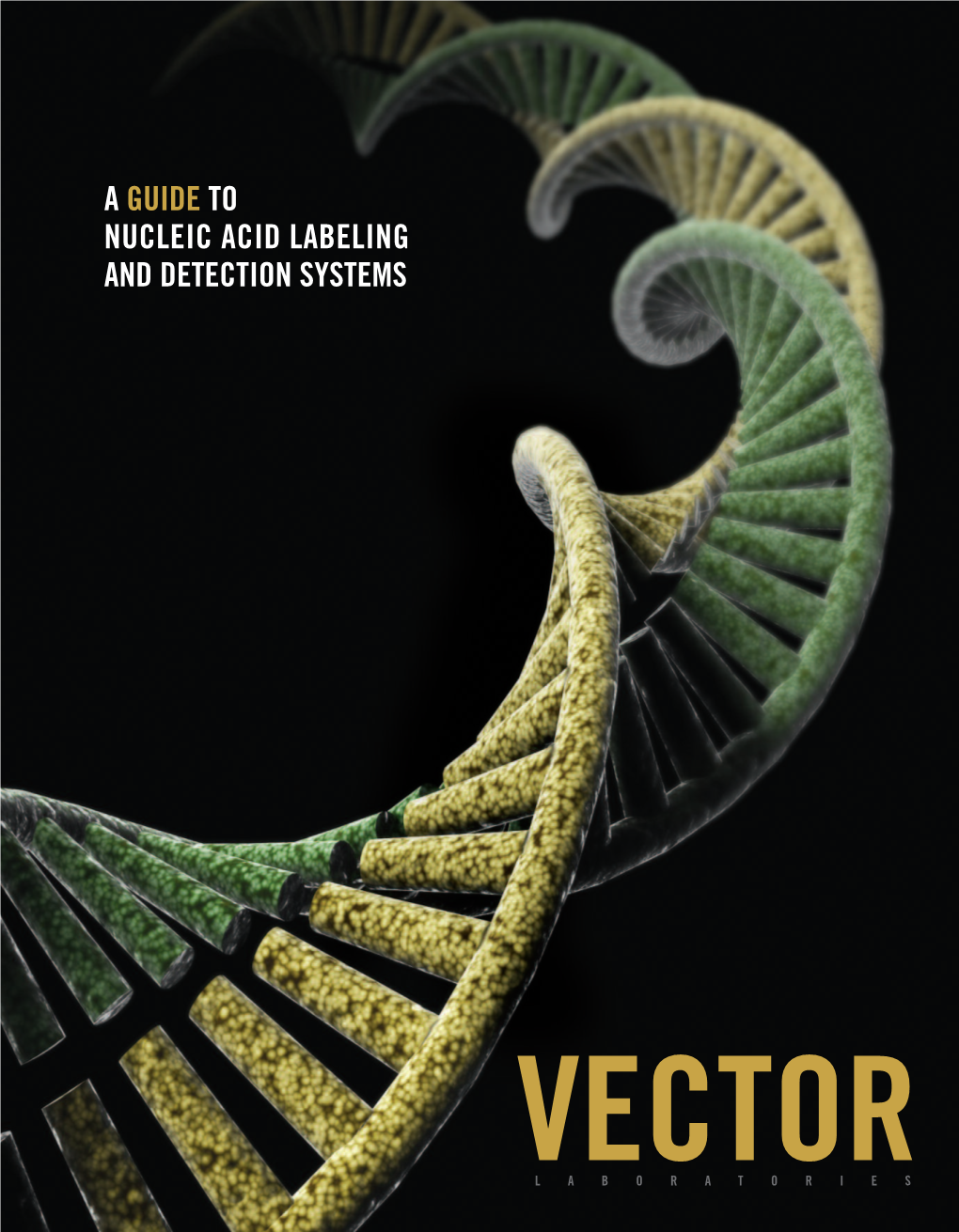 A Guide to Nucleic Acid Labeling and Detection Systems