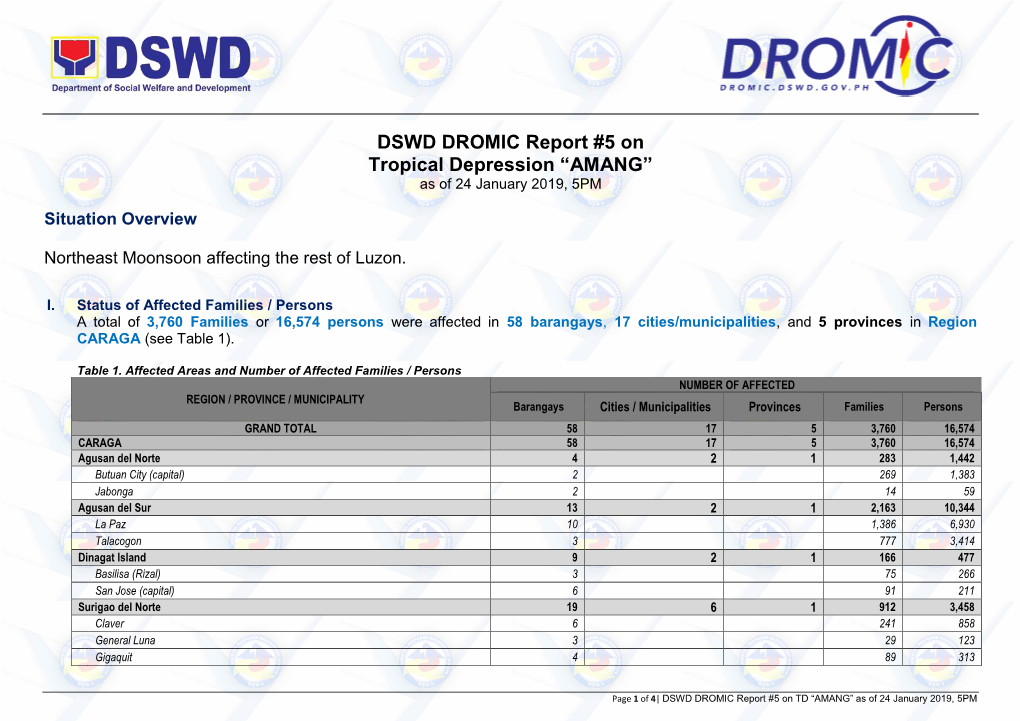 DSWD DROMIC Report #5 on Tropical Depression “AMANG” As of 24 January 2019, 5PM