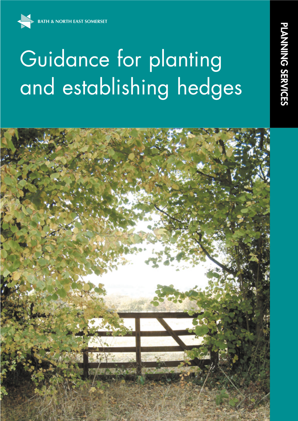 Guidance for Planting and Establishing Hedges