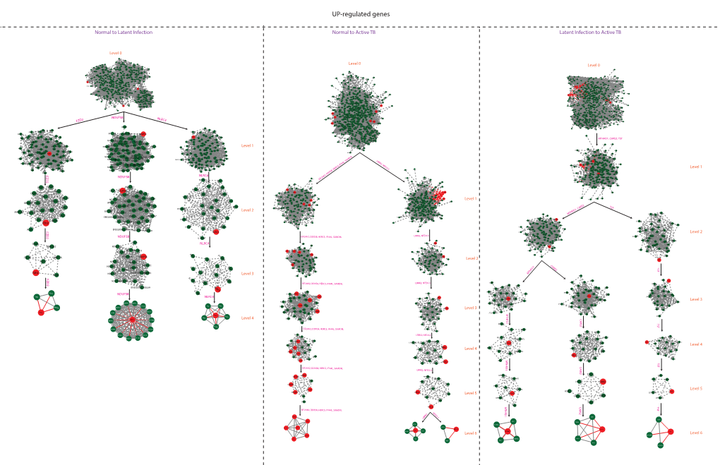 UP-Regulated Genes