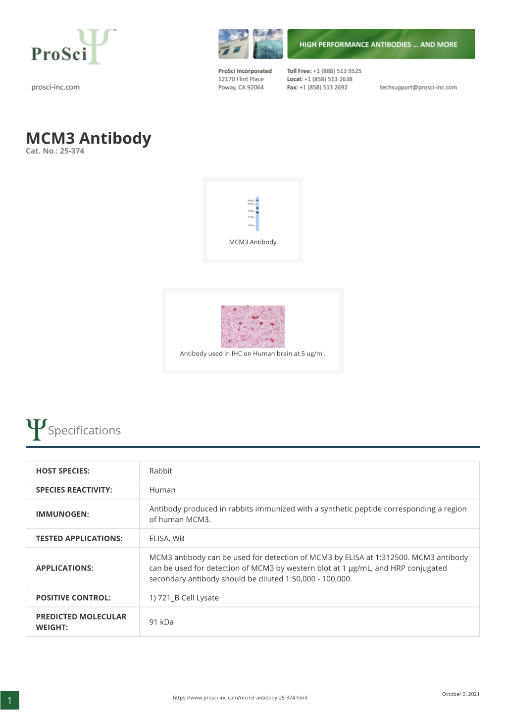 MCM3 Antibody Cat