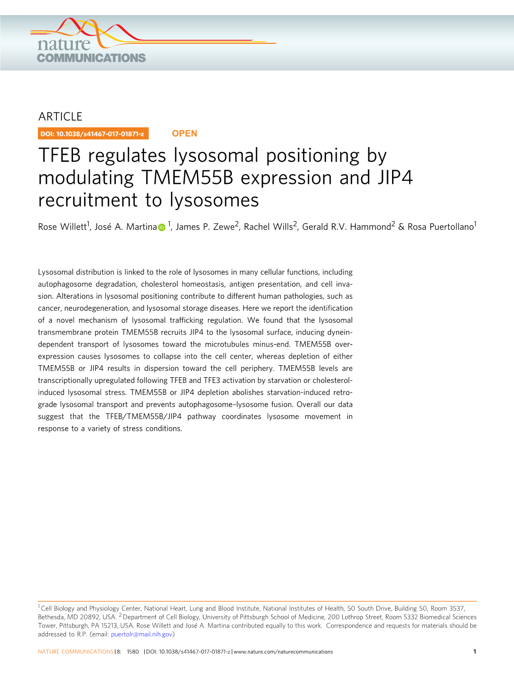 TFEB Regulates Lysosomal Positioning by Modulating TMEM55B Expression and JIP4 Recruitment to Lysosomes