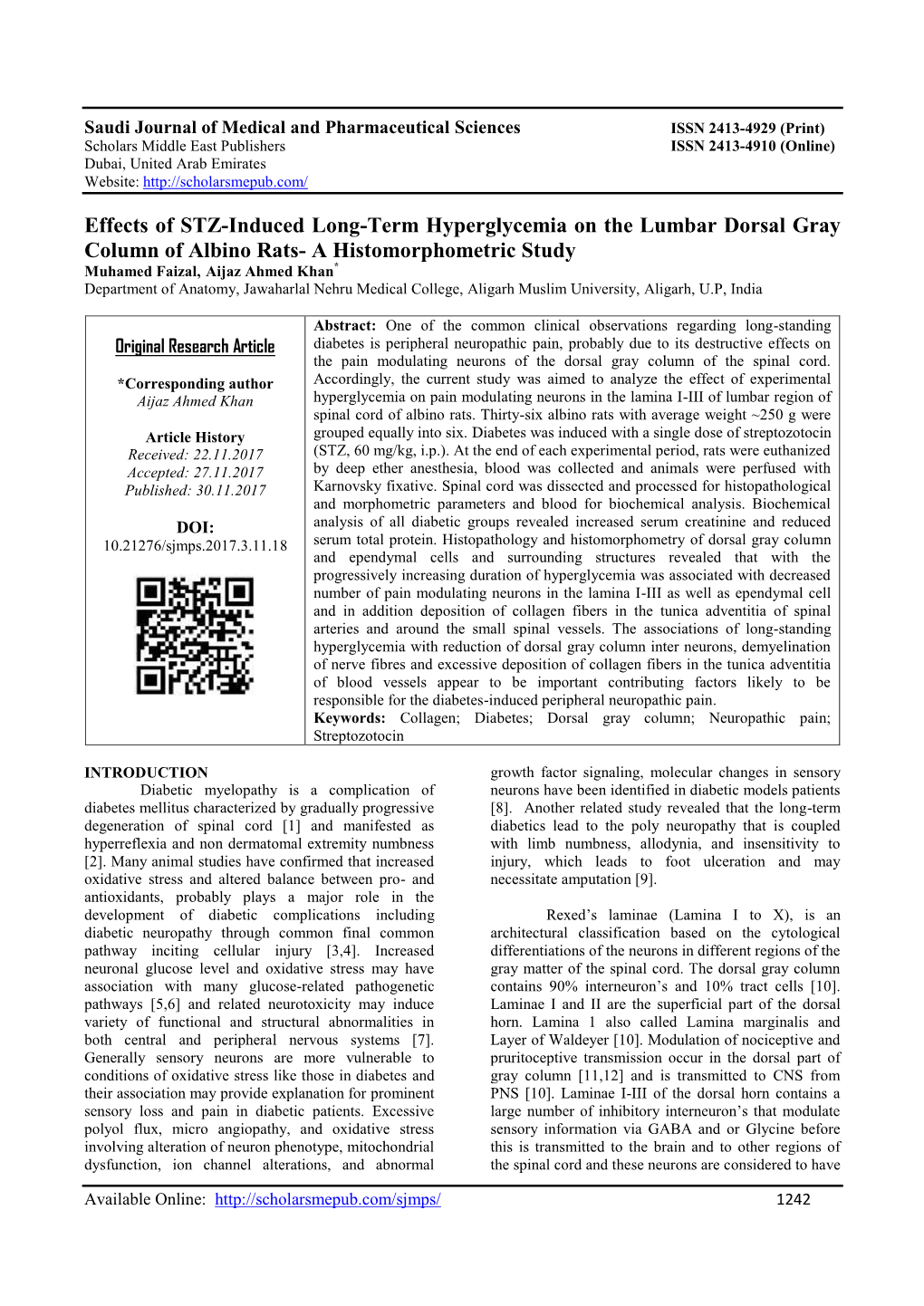 Effects of STZ-Induced Long-Term