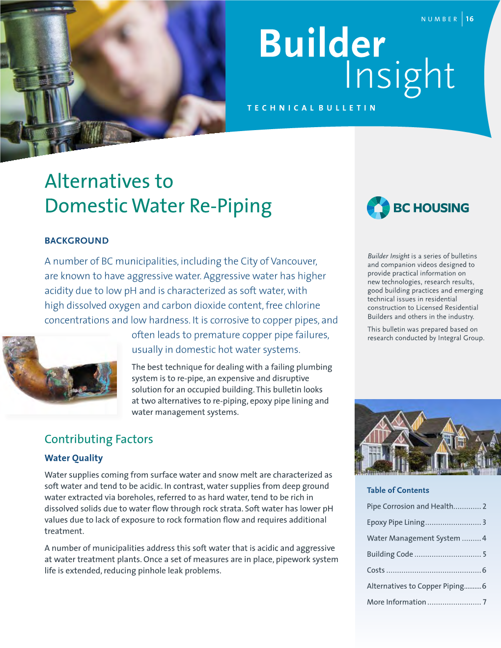 Domestic Water Repiping Alternatives