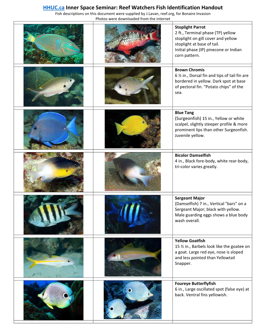 HHUC.Ca Inner Space Seminar: Reef Watchers Fish Identification Handout