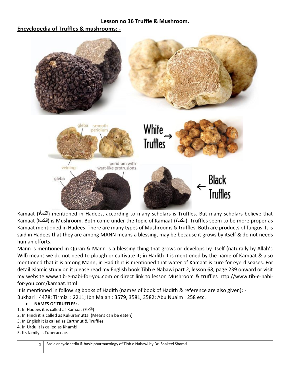 Lesson No 36 Truffle & Mushroom. Encyclopedia of Truffles