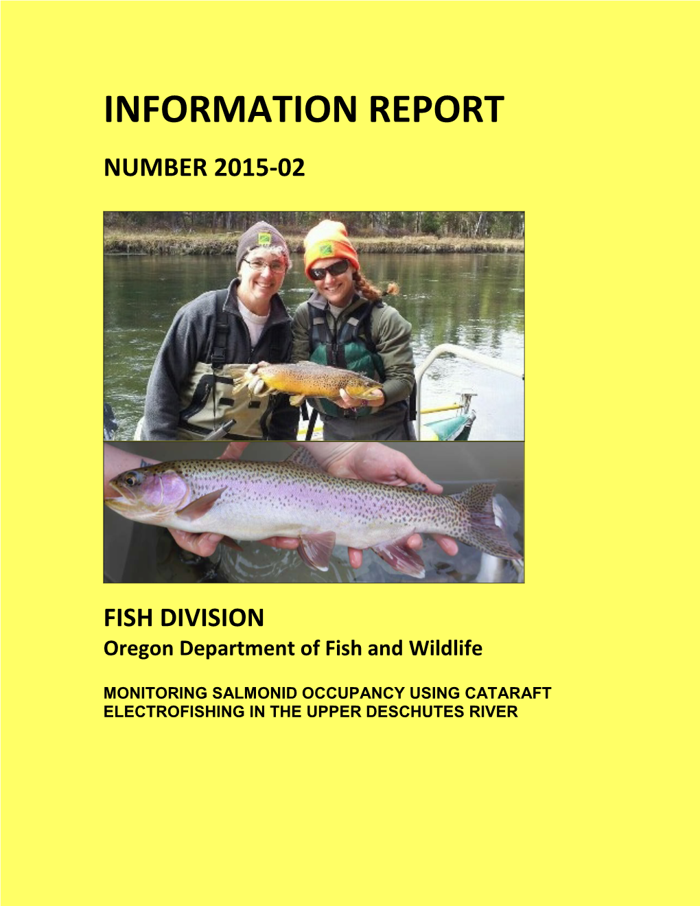 Information Report