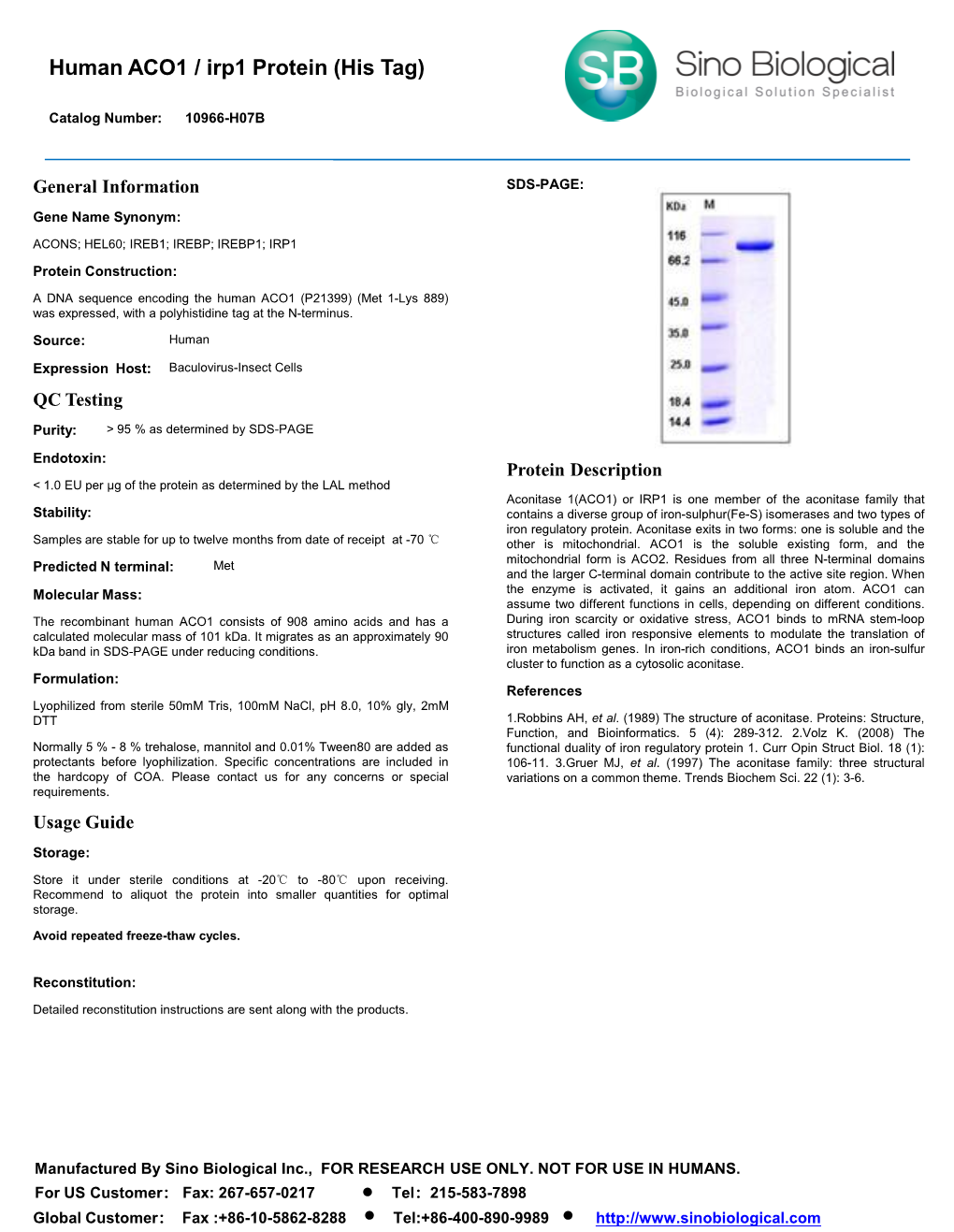 Human ACO1 / Irp1 Protein (His Tag)