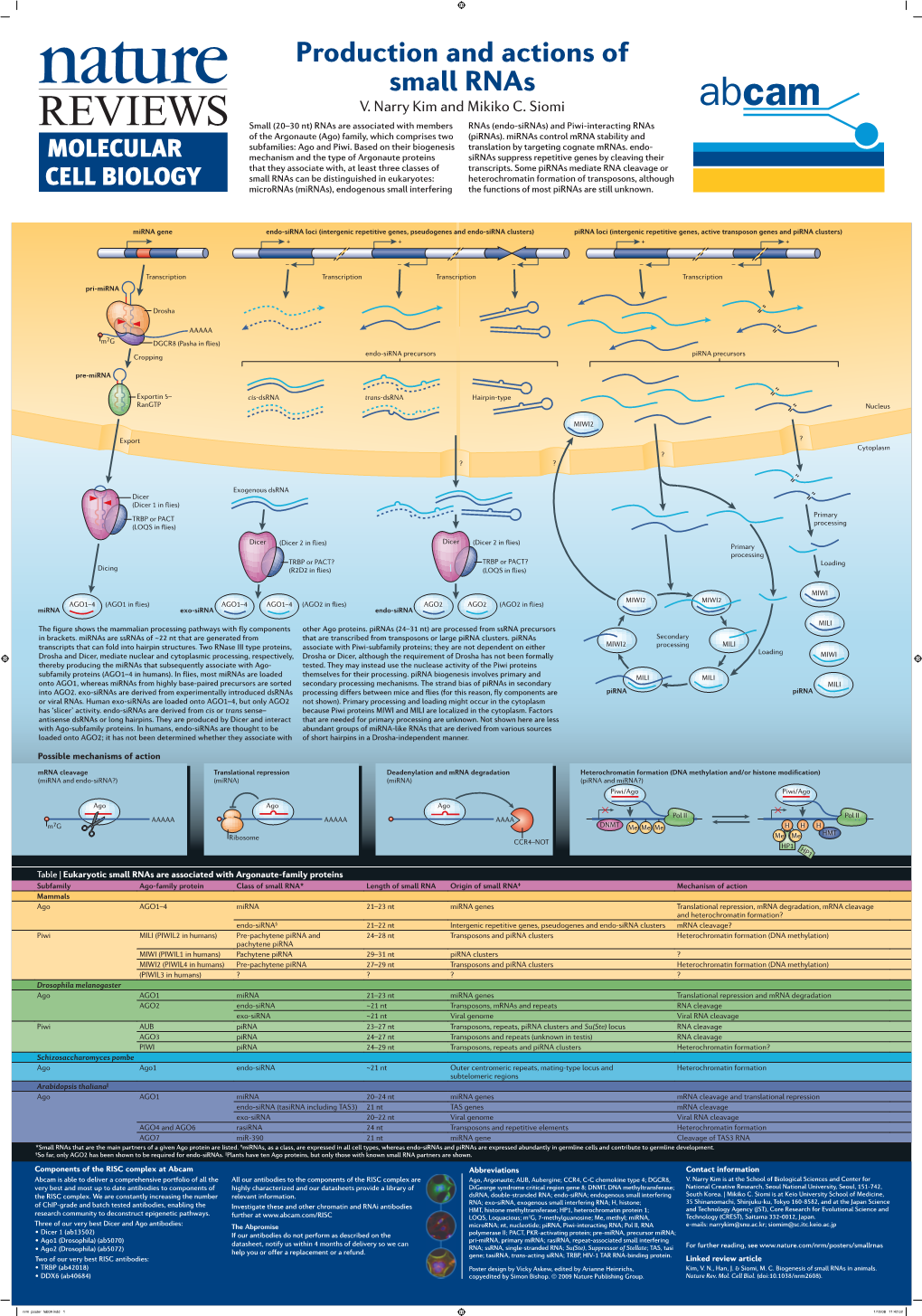 Production and Actions of Small Rnas V