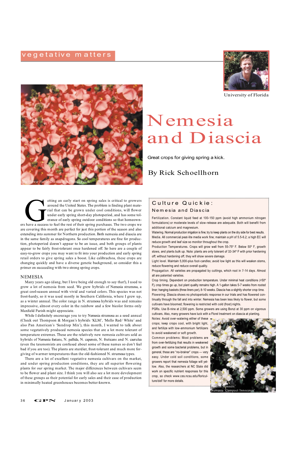 Nemesia and Diascia