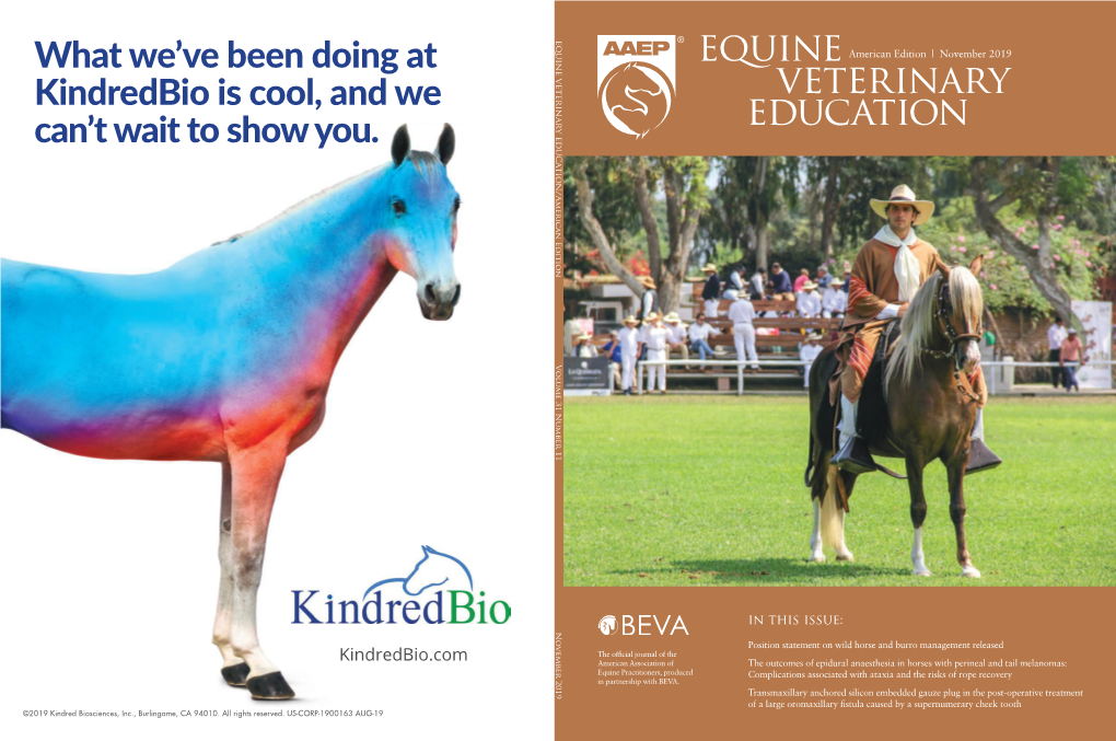 Veterinary Equine Education