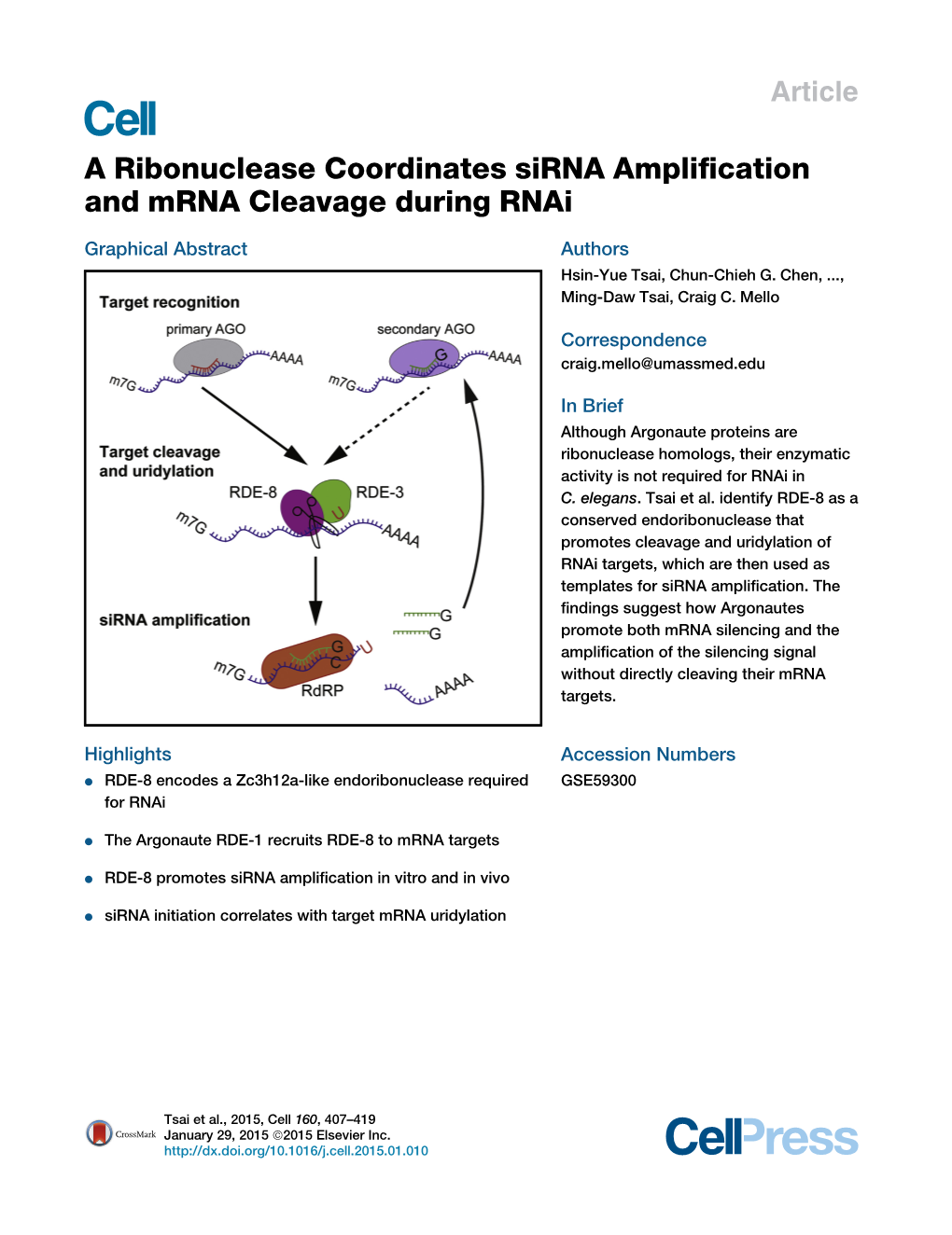 A Ribonuclease Coordinates Sirna Amplification and Mrna Cleavage