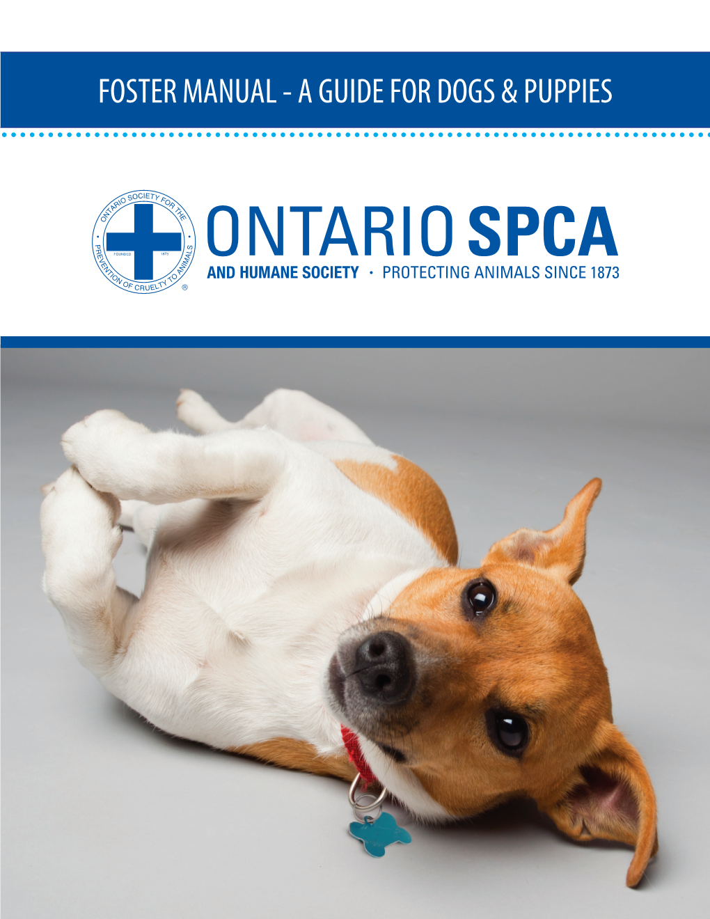 FOSTER MANUAL - a GUIDE for DOGS & PUPPIES Welcome to the Ontario SPCA Foster Care Program!