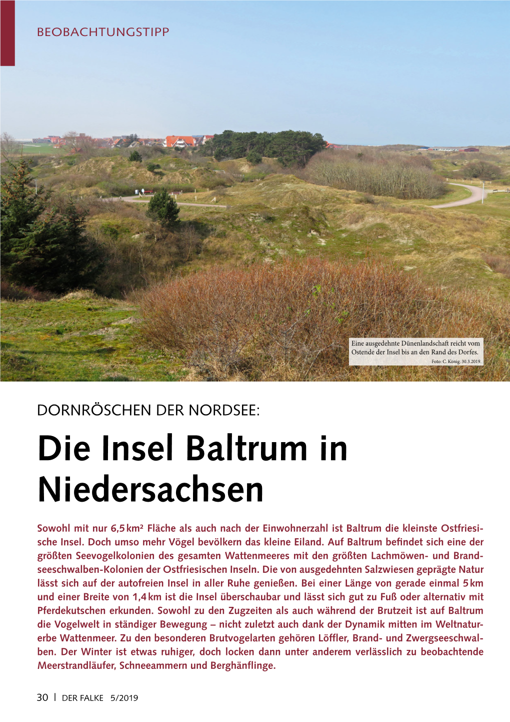 Baltrum in Niedersachsen