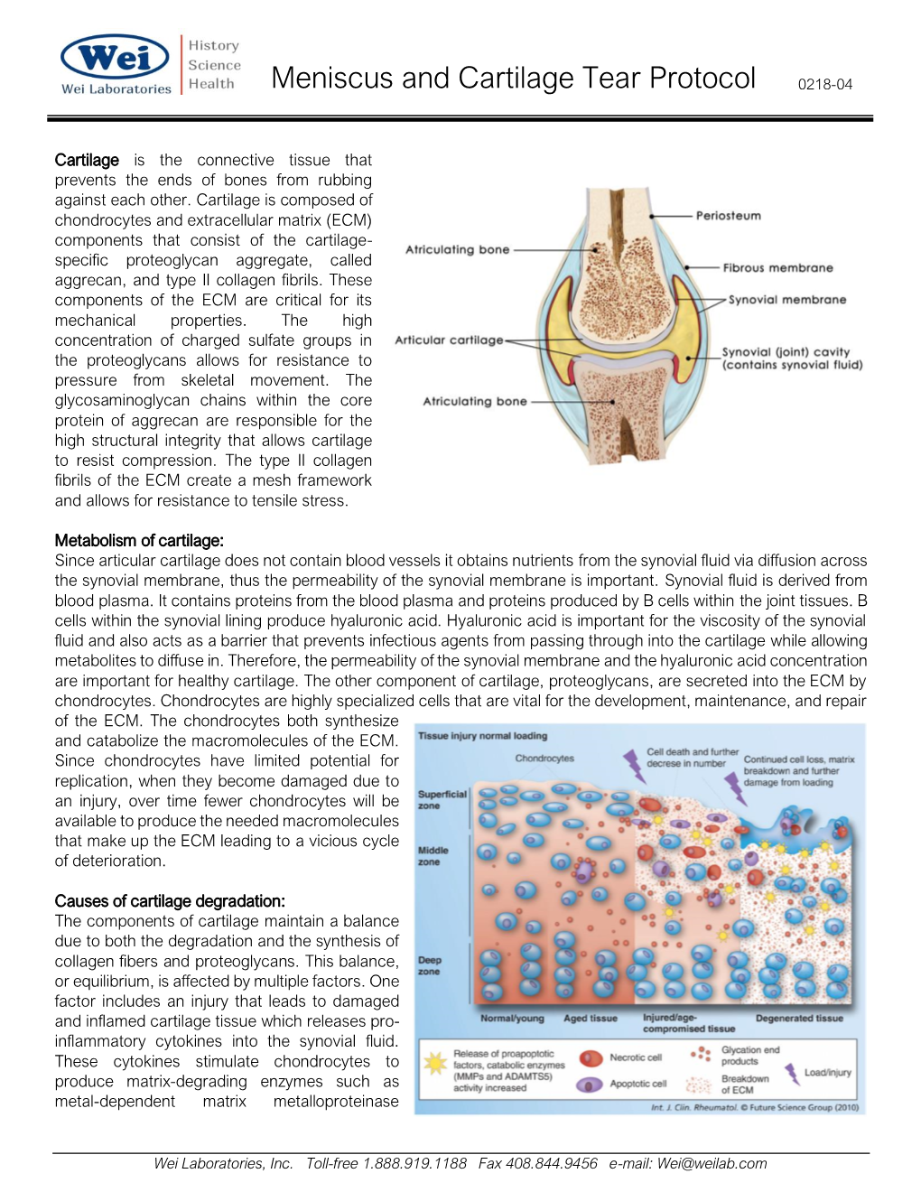 Meniscus and Cartilage Tear Protocol 0218-04