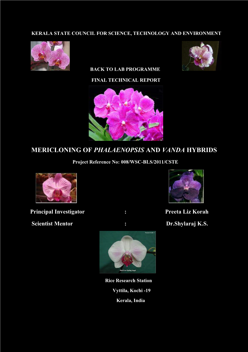 Mericloning of Phalaenopsis and Vanda Hybrids