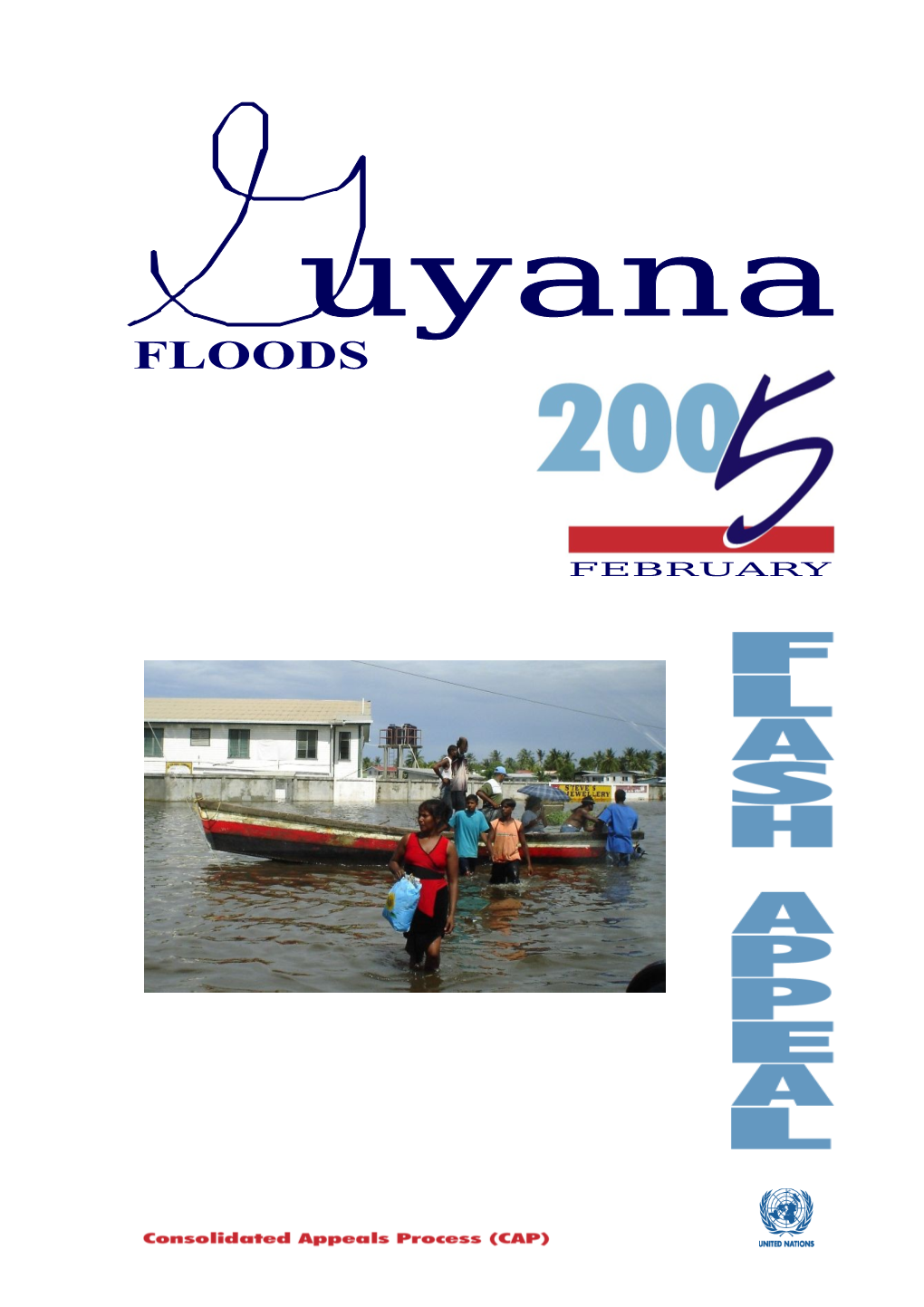 Guyana Floods Flash Appeal (Word)