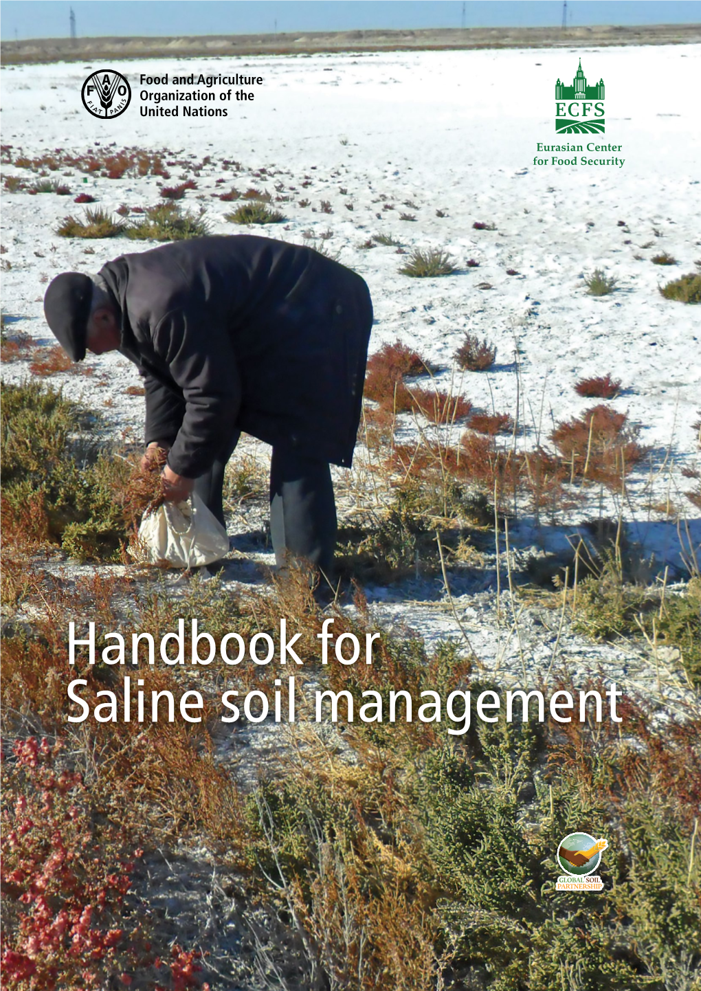 Handbook for Saline Soil Management