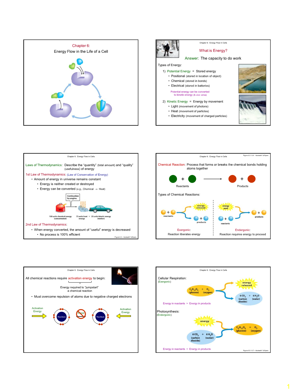 Chapter 6: Energy Flow in the Life of a Cell What Is Energy? Answer: the Capacity to Do Work