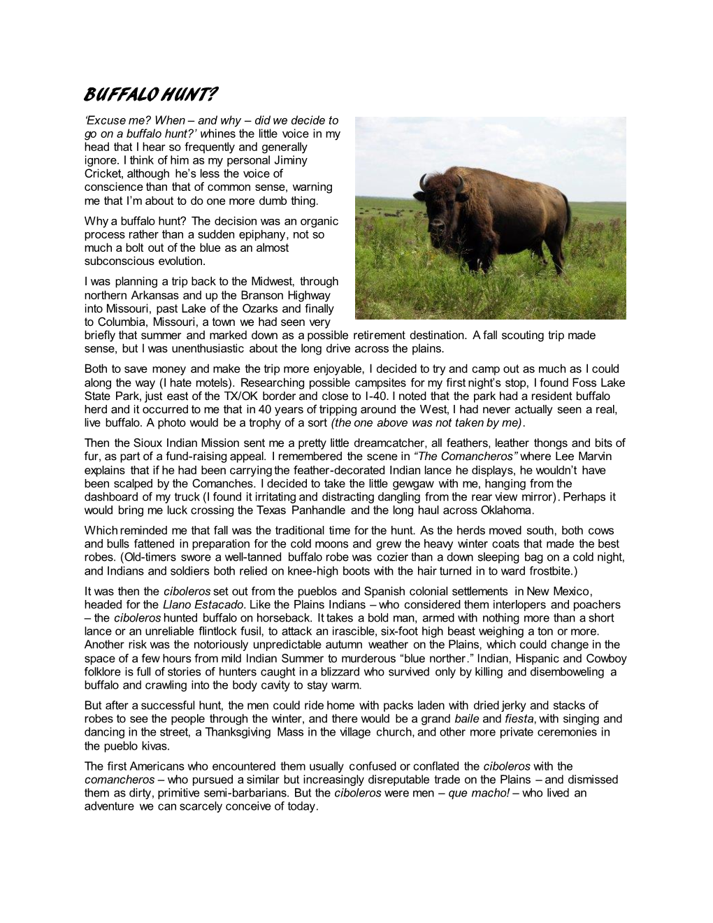 BUFFALO HUNT? ‘Excuse Me? When – and Why – Did We Decide to Go on a Buffalo Hunt?’ Whines the Little Voice in My Head That I Hear So Frequently and Generally Ignore