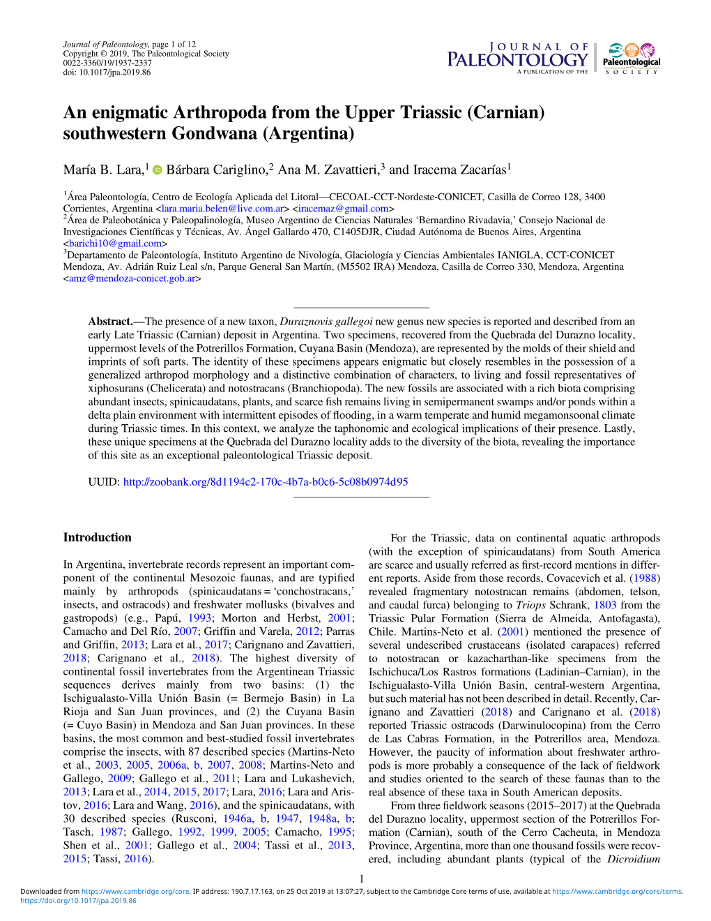 An Enigmatic Arthropoda from the Upper Triassic (Carnian) Southwestern Gondwana (Argentina)