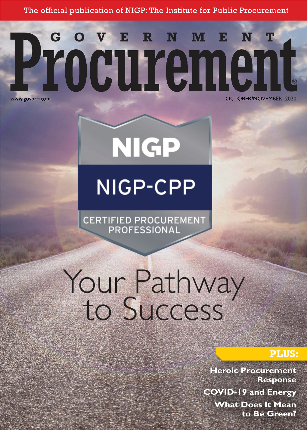 Government Procurement