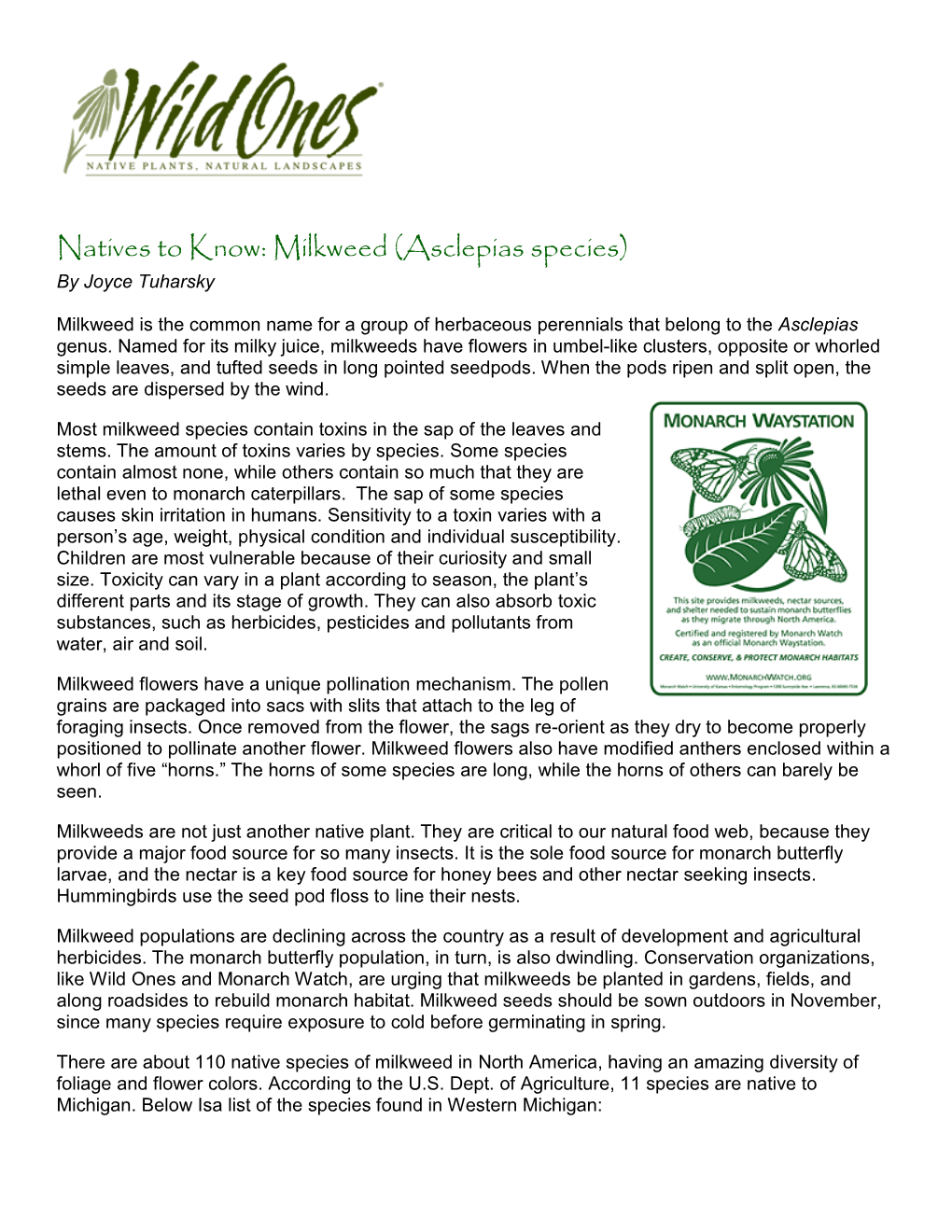 Milkweed (Asclepias Species) by Joyce Tuharsky