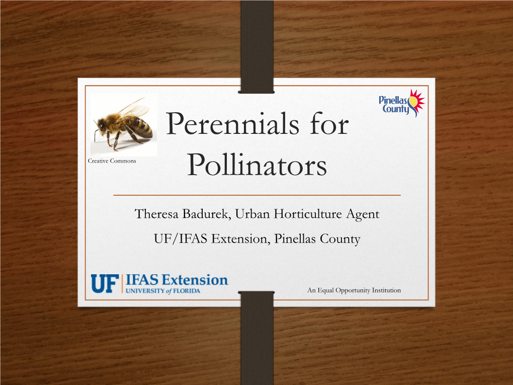 Perennials for Pollinators