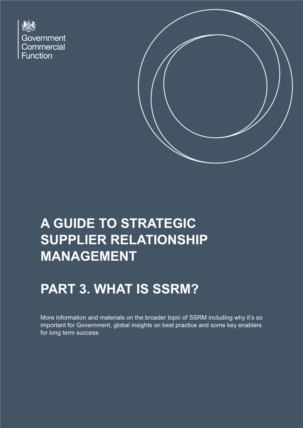A Guide to Strategic Supplier Relationship Management Part 3