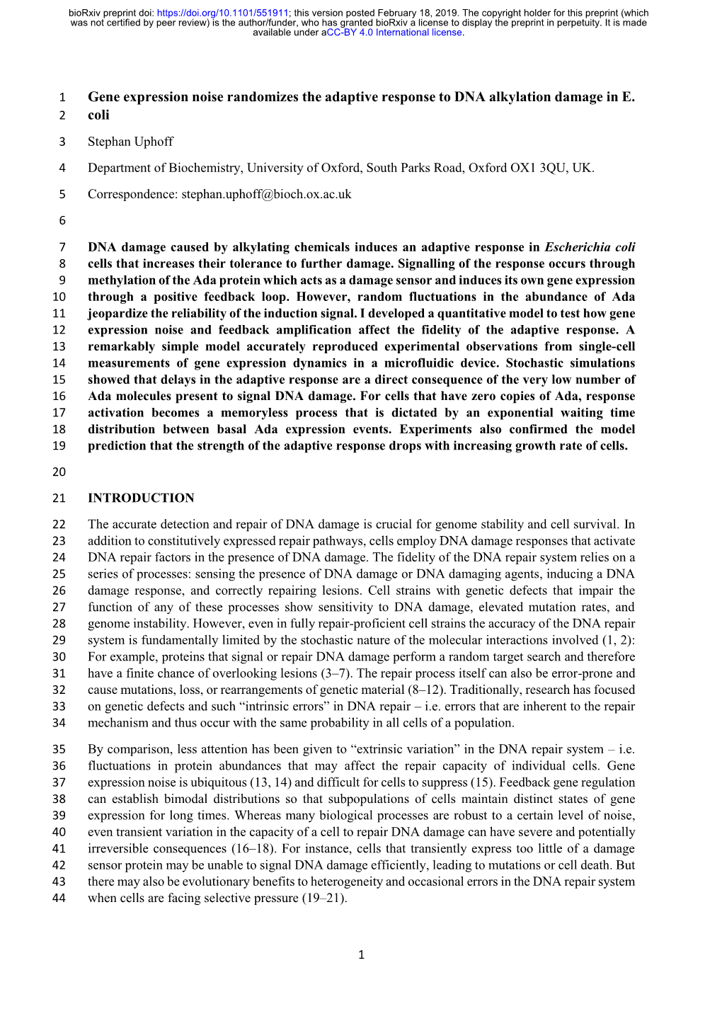 Gene Expression Noise Randomizes the Adaptive Response to DNA Alkylation Damage in E. Coli