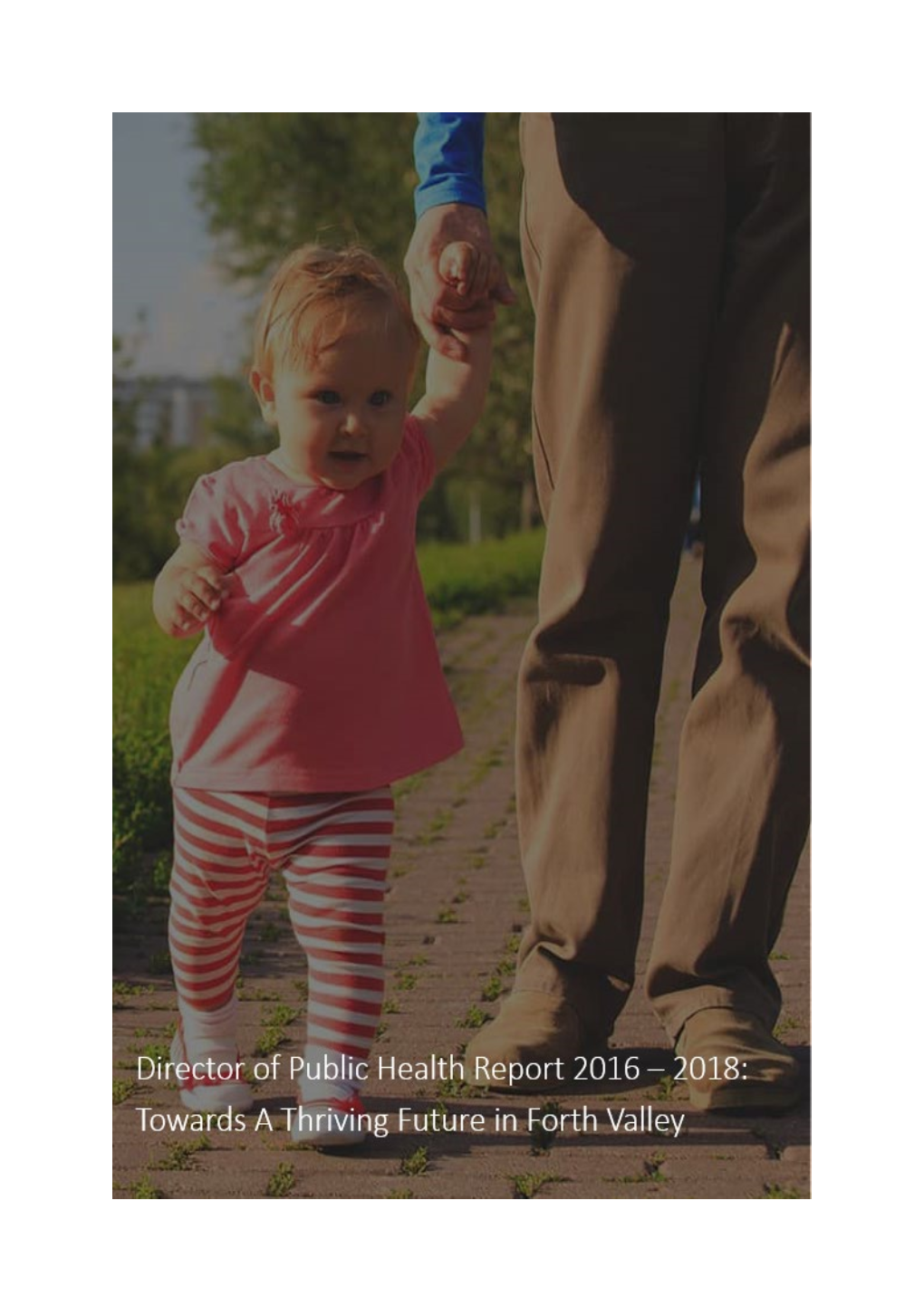 Director-Of-Public-Health-Report-2016-2018.Pdf