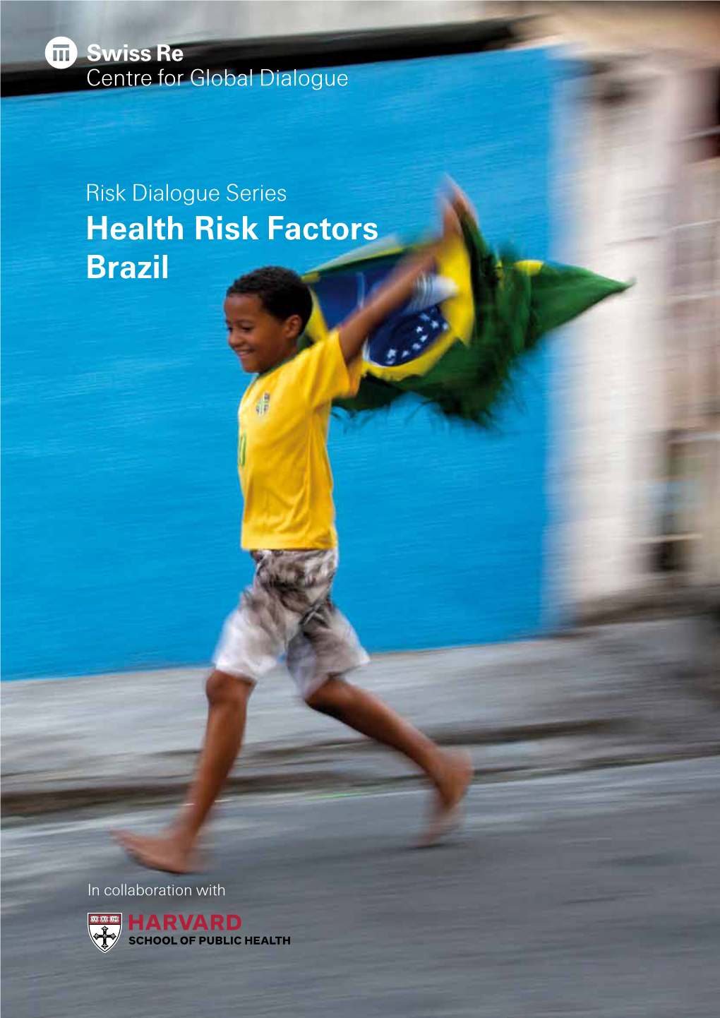 Health Risk Factors Brazil Factors Risk Health on Series Dialogue Risk