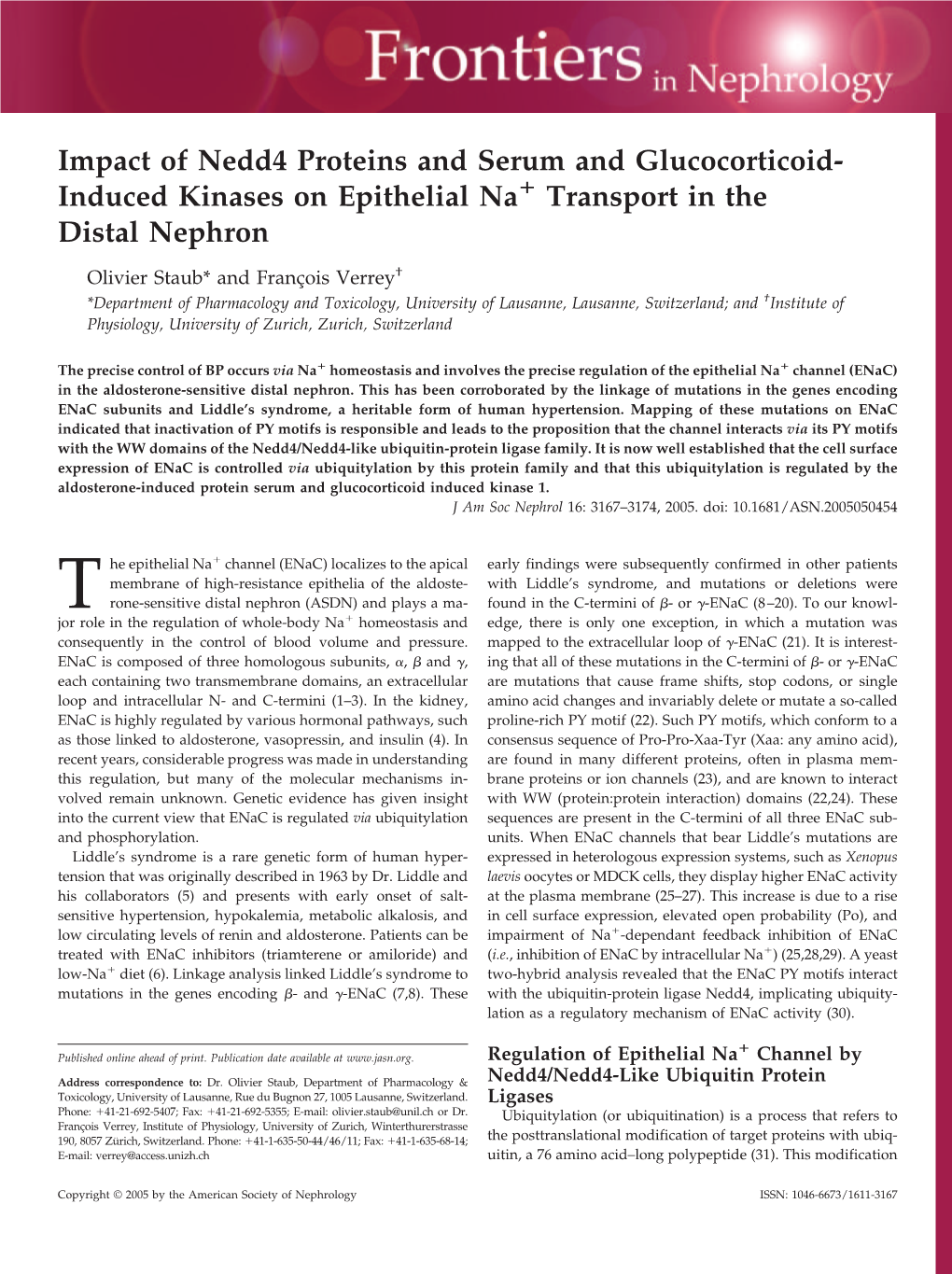 Impact of Nedd4 Proteins and Serum and Glucocorticoid- ؉ Induced Kinases on Epithelial Na Transport in the Distal Nephron