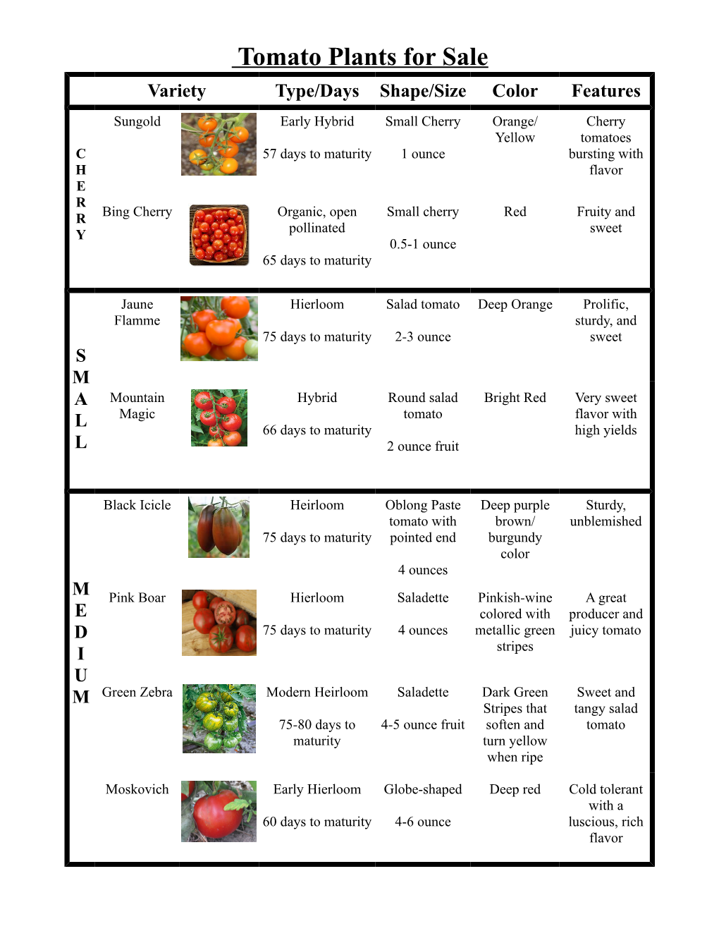 Tomato and Pepper Plants for Sale