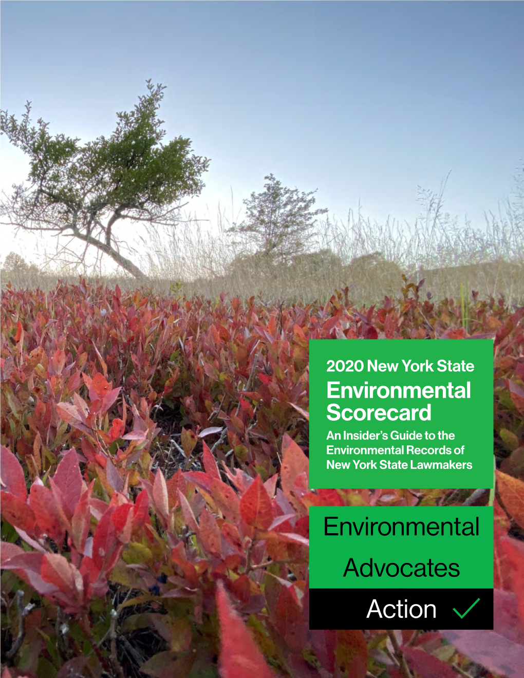 2020 Environmental Scorecard