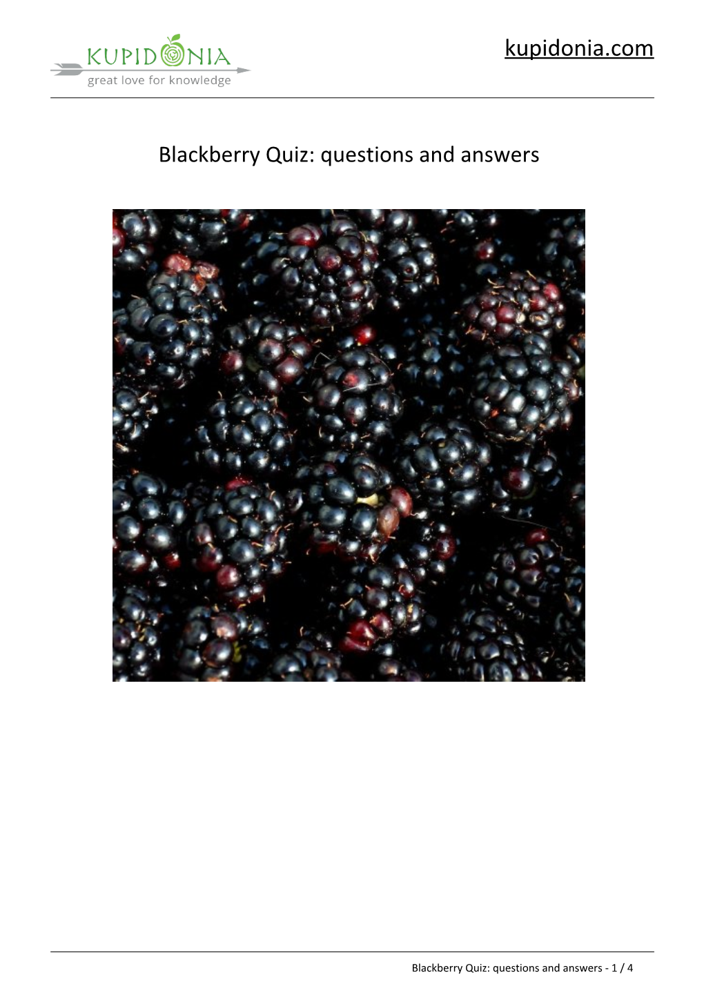 Blackberry Quiz: Questions and Answers