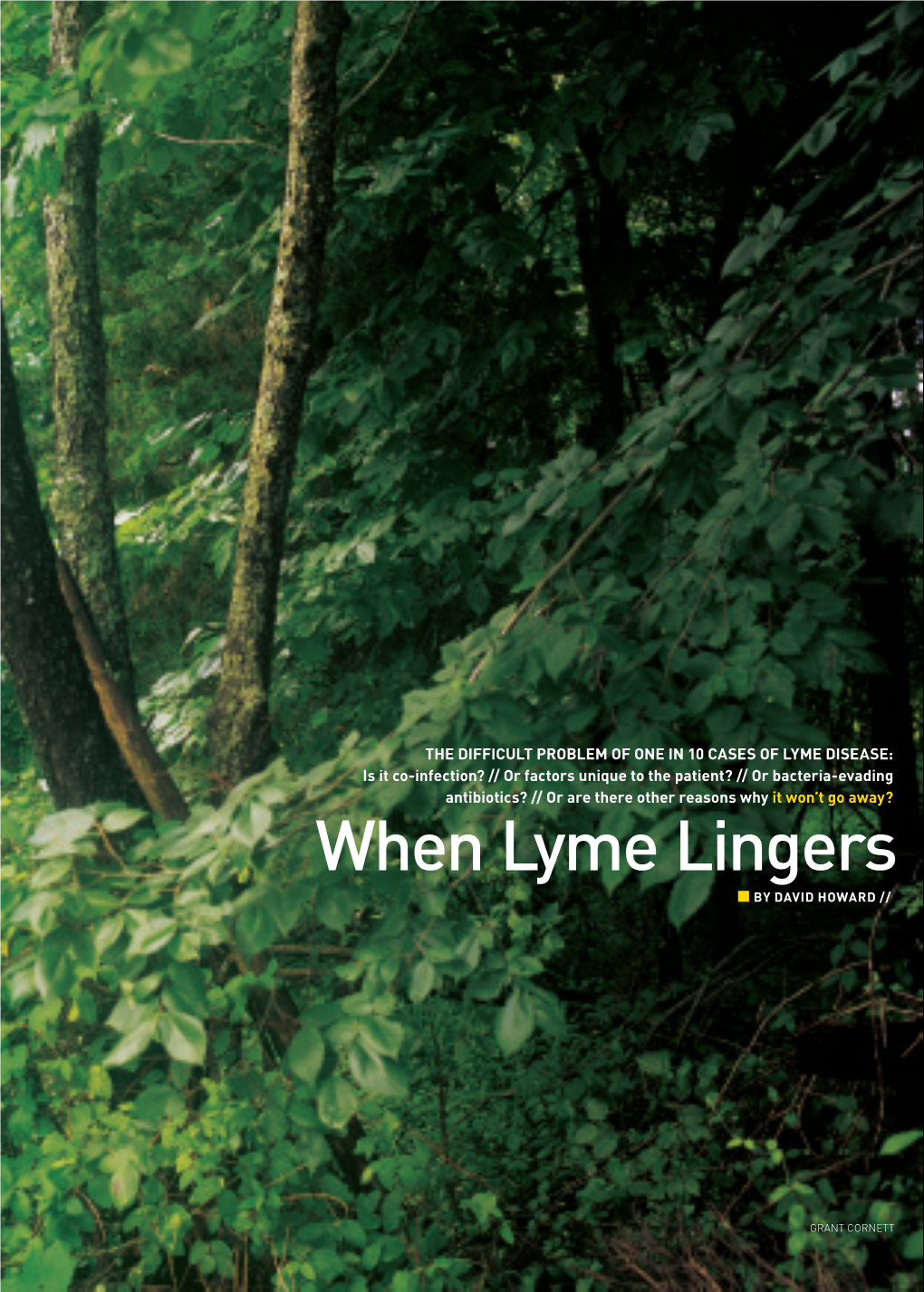 When Lyme Lingers BY DAVID HOWARD