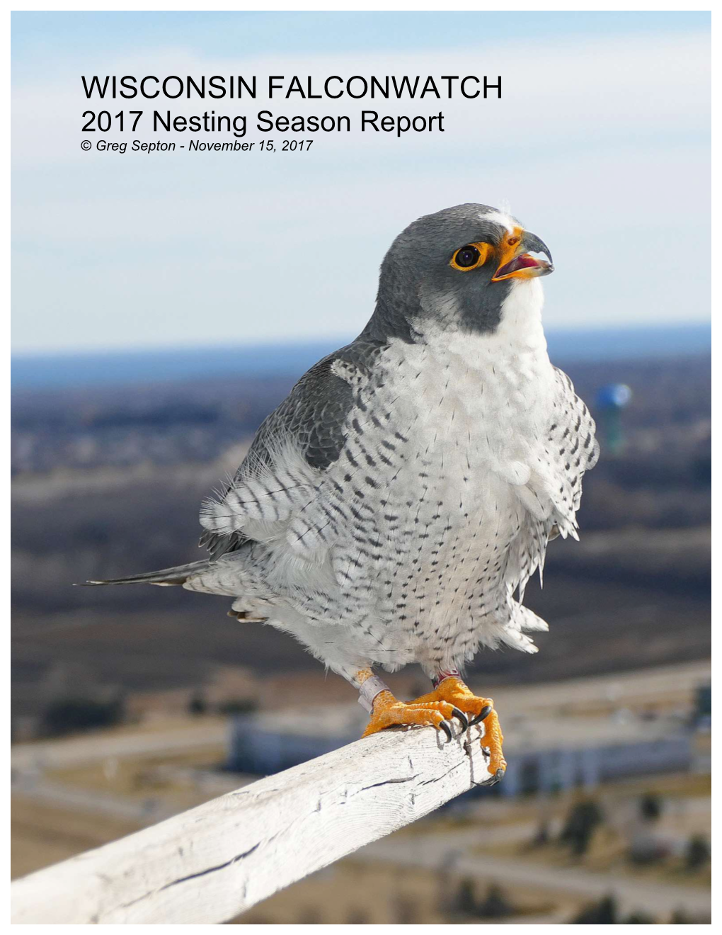 WISCONSIN FALCONWATCH 2017 Nesting Season Report © Greg Septon - November 15, 2017