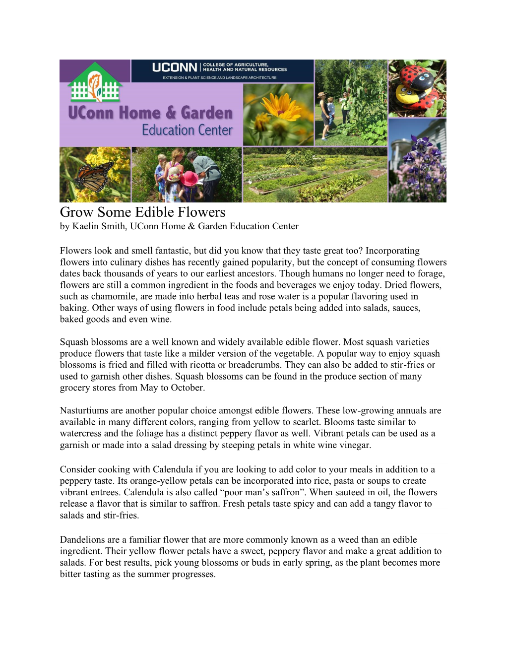 Grow Some Edible Flowers by Kaelin Smith, Uconn Home & Garden Education Center